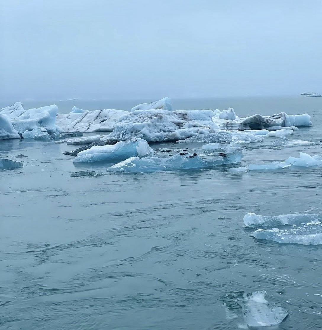 Reykjavik: Glacier Lagoon Boat Ride & South Coast Full Day Tour
